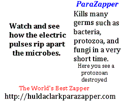 Does it Work? Yes, kills microbes or germs quickly and therefore may affect wellbeing